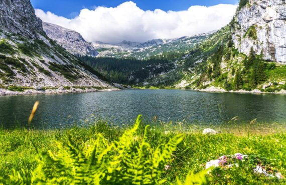 Krnsko jezero in Krn